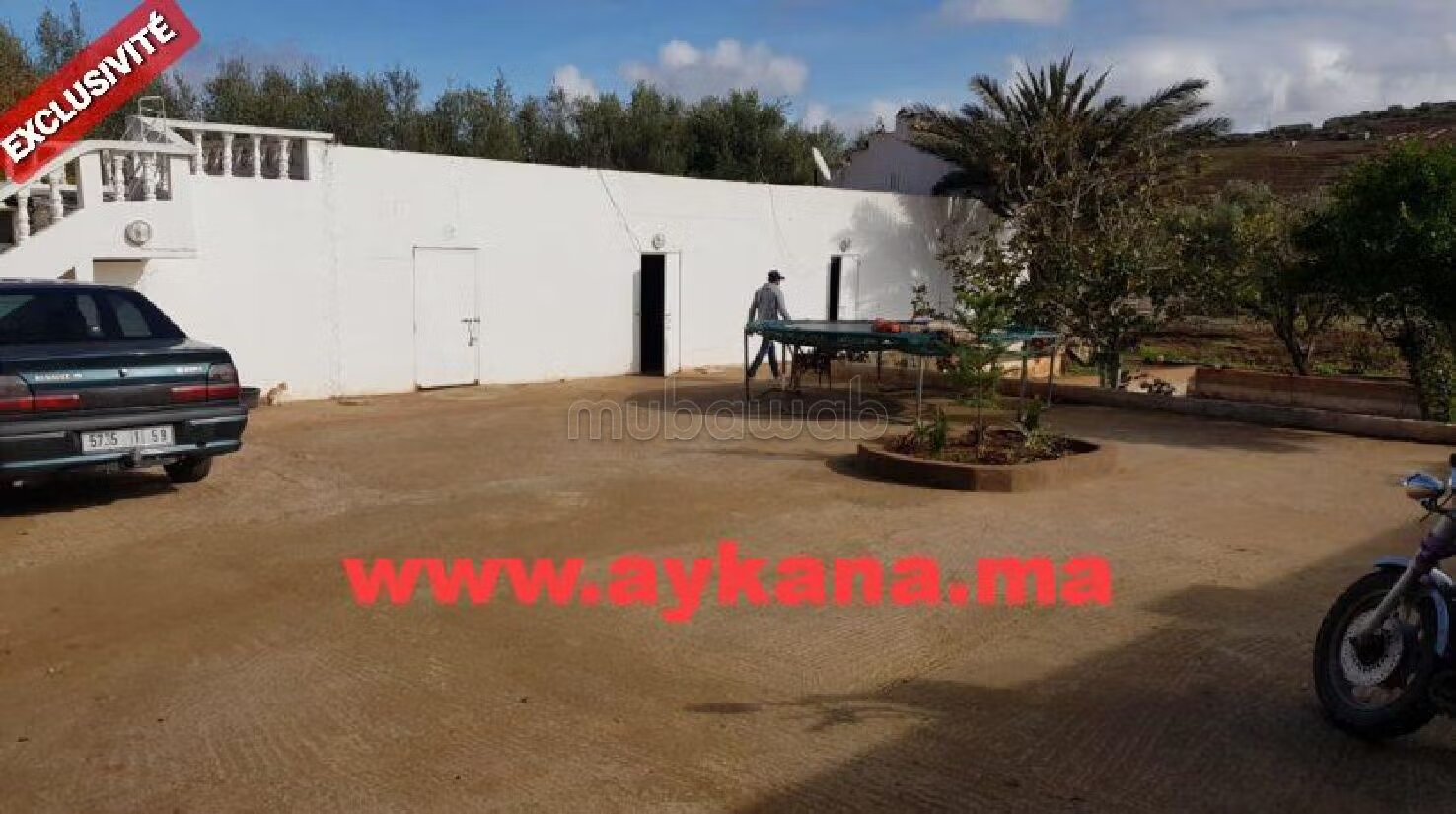 Ferme 2 Ha à vendre à Tiflet — Photo 12