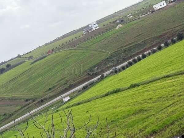 Ferme 2 Ha à vendre à Tiflet — Photo 15