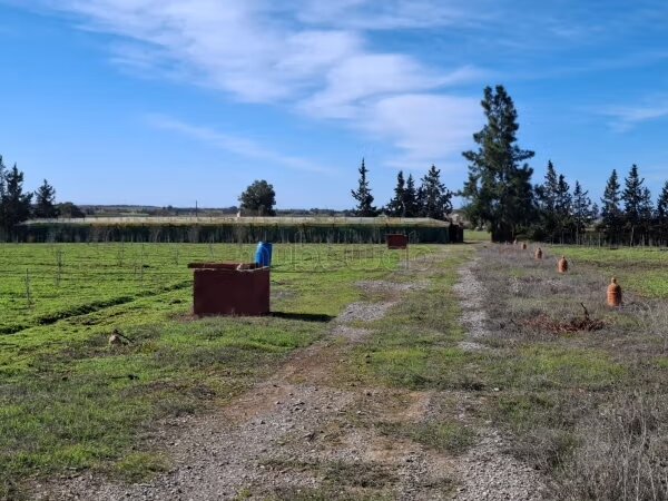 Ferme 2 Ha à vendre à Tiflet — Photo 17