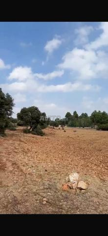 Approved constructible land for sale 211m² in Imouzzer Kandar