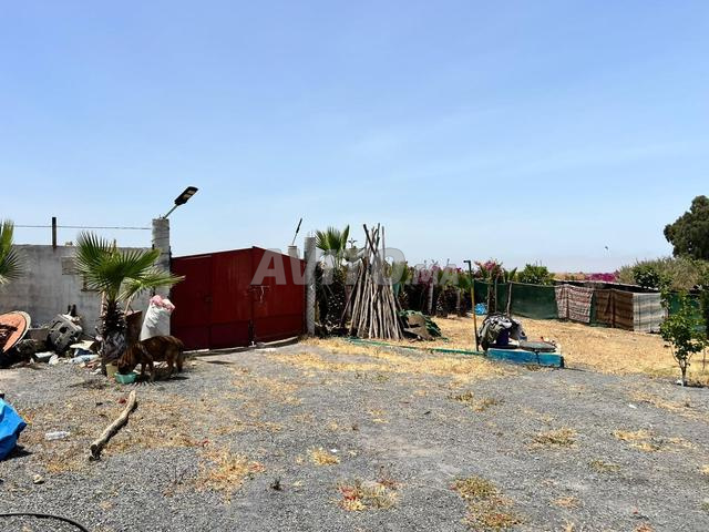 Terrain 1600 m² à vendre à Benslimane — Photo 8