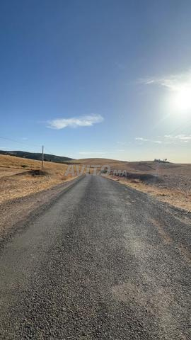 Investment Opportunity 11 Hectares Land for Sale