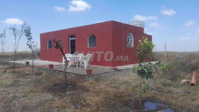 Terrain 10000 m² à vendre à Settat — Photo 4