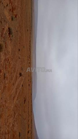 Agricultural Land for Sale in Guelmim