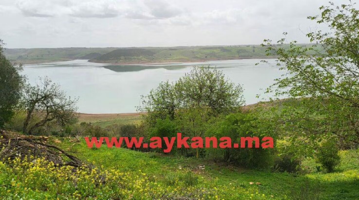 مزرعة 45000 م² للبيع في ساله شول — Photo 3