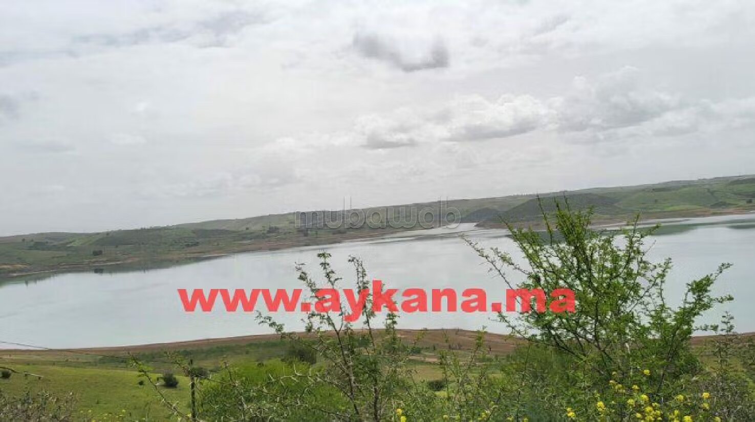 مزرعة 45000 م² للبيع في ساله شول — Photo 4