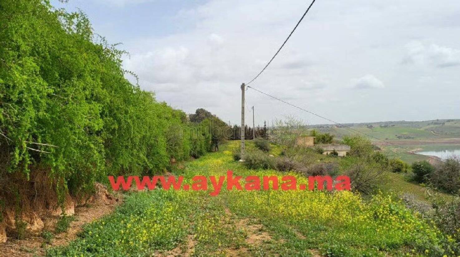 مزرعة 45000 م² للبيع في ساله شول — Photo 5