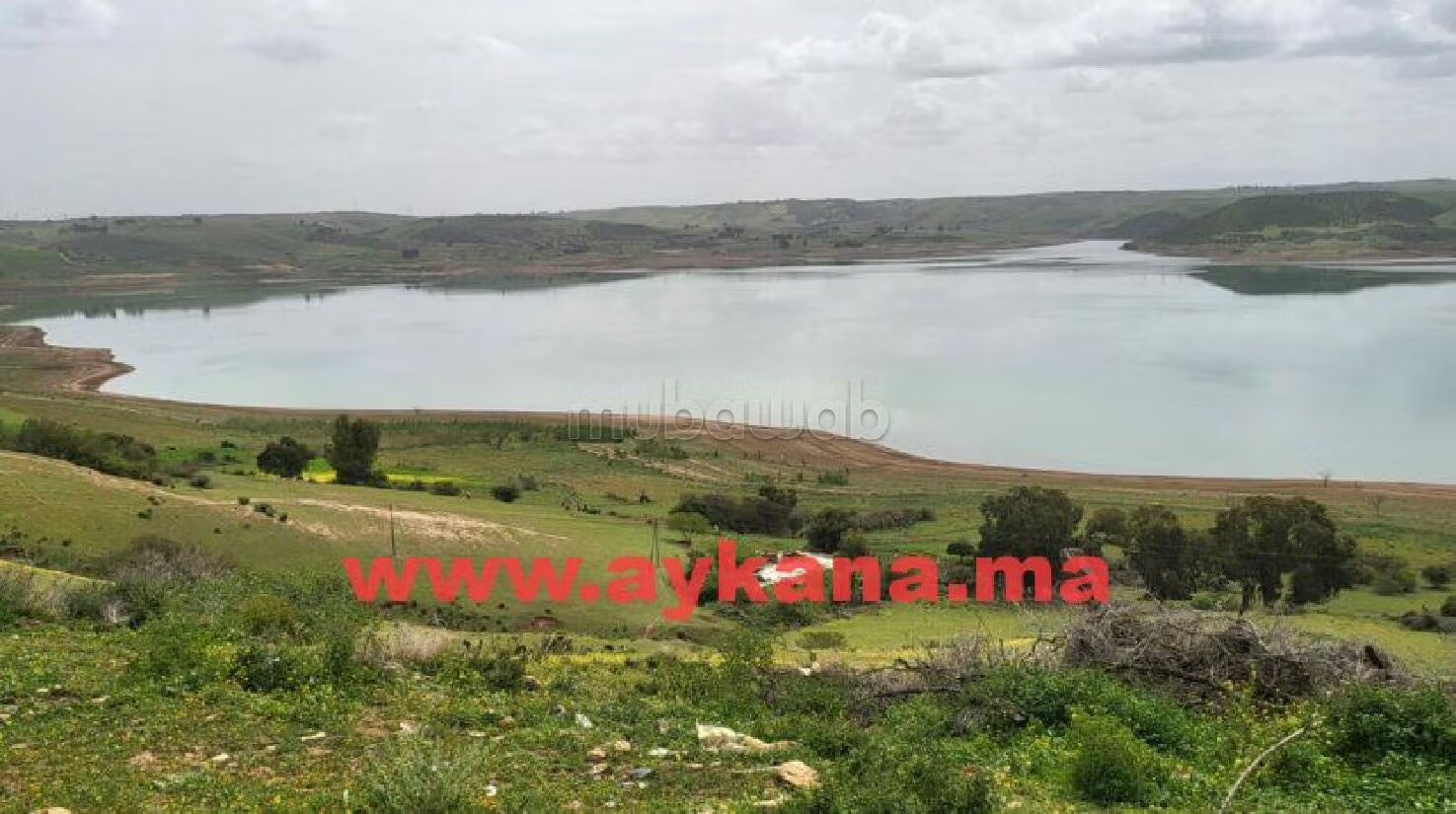 مزرعة 45000 م² للبيع في ساله شول — Photo 6