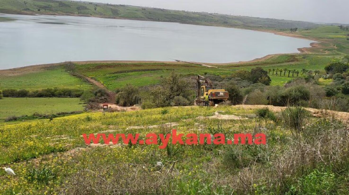 مزرعة 45000 م² للبيع في ساله شول — Photo 8