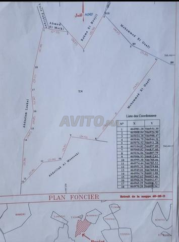 أرض 14000 م² للبيع في طنجة (المنبر) — Photo 3