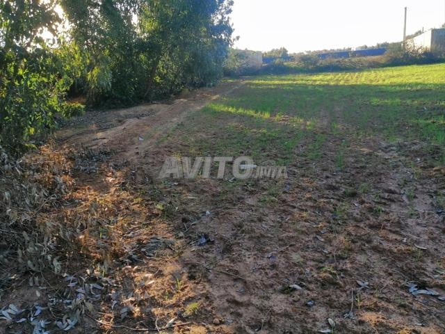 Land Sale in Azemmour with Strategic Location