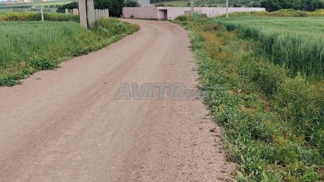 Land for sale in Azemmour — Photo 3