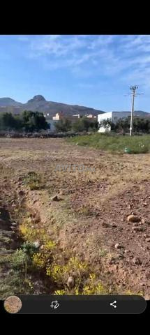 Terrain 642 m² à vendre à Nador – Centre Ville — Photo 5