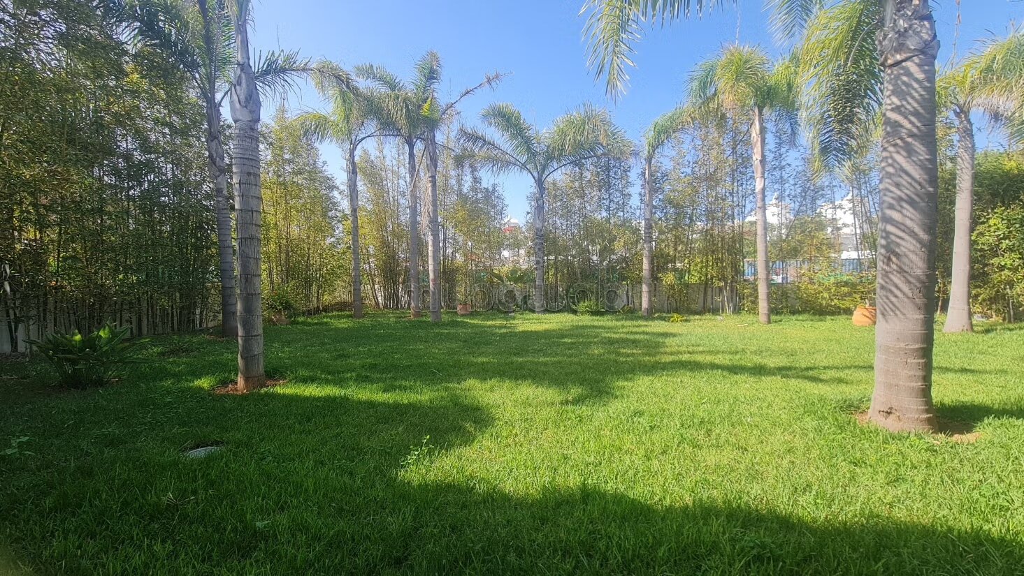 Furnished Villa 700 m² for rent in Skhirat — Photo 4