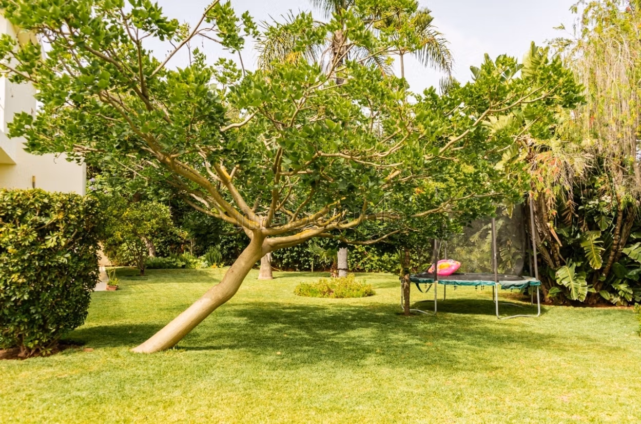2000 m² Villa for Sale in Anfa Supérieur — Photo 7
