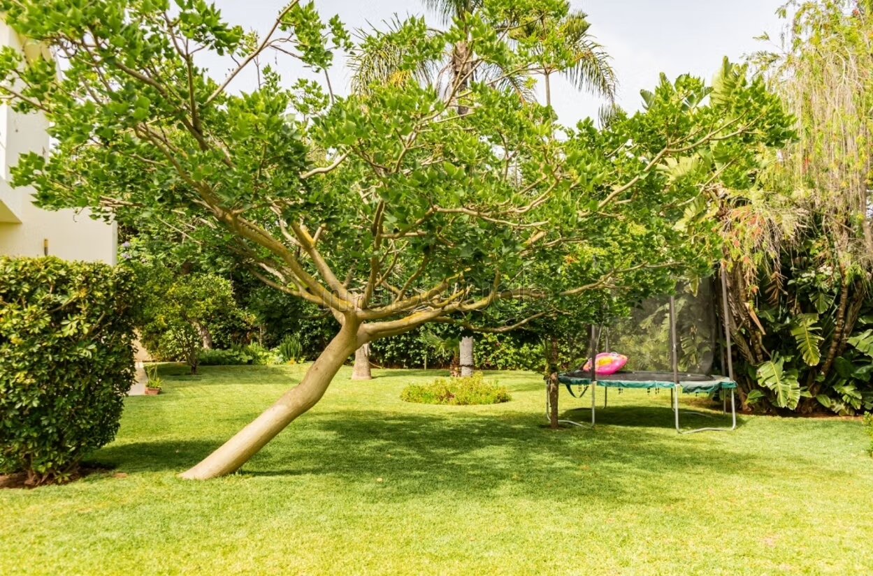 2000 m² Villa for Sale in Anfa Supérieur — Photo 8