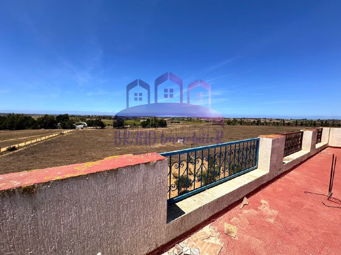 Farm 55,000 m² for sale in Tangier — Photo 3
