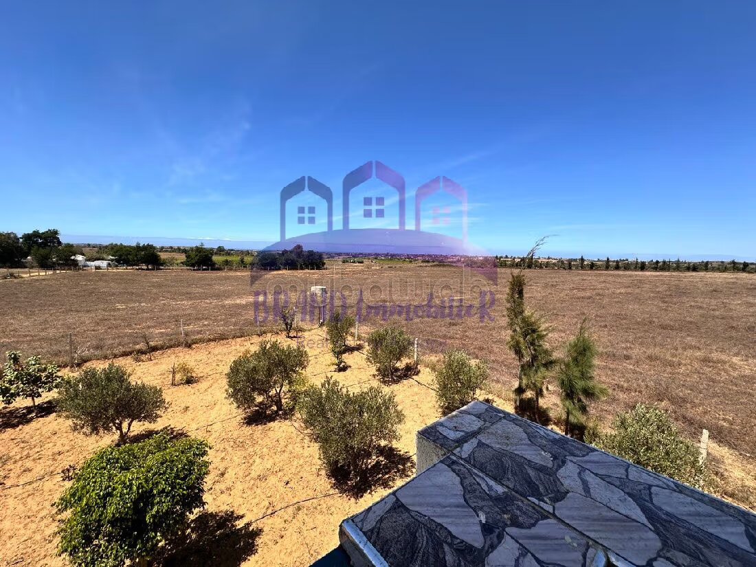 Farm 55,000 m² for sale in Tangier — Photo 8