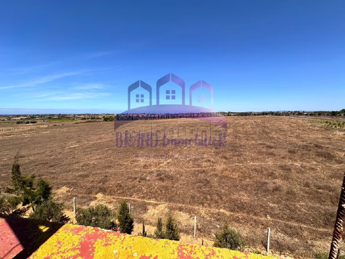 Farm 55,000 m² for sale in Tangier — Photo 10