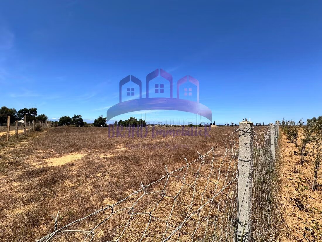 Farm 55,000 m² for sale in Tangier — Photo 12