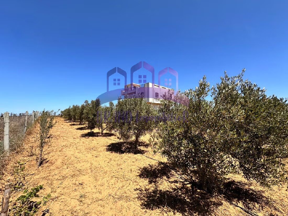 Farm 55,000 m² for sale in Tangier — Photo 16