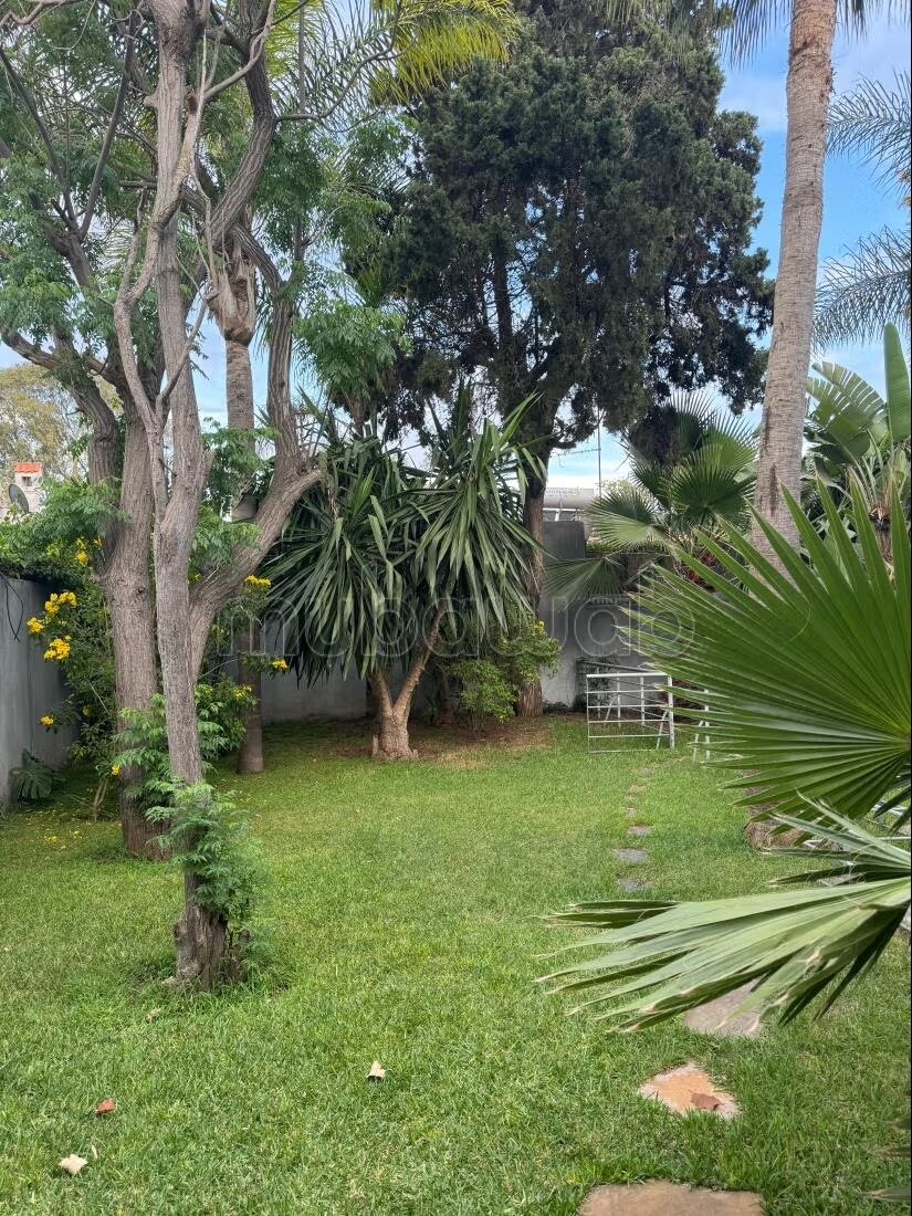 Office 700 m² for rent in Casablanca at Oasis — Photo 3