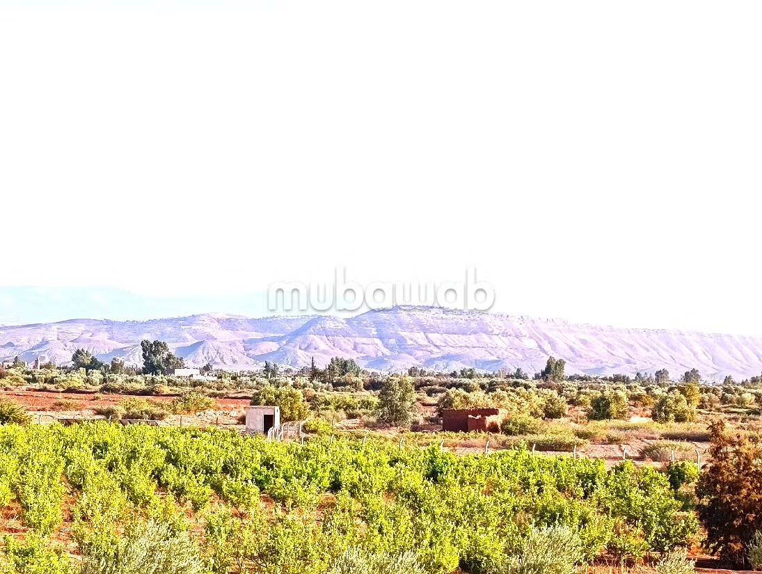 Ferme 21200 m² à vendre à Marrakech — Photo 2