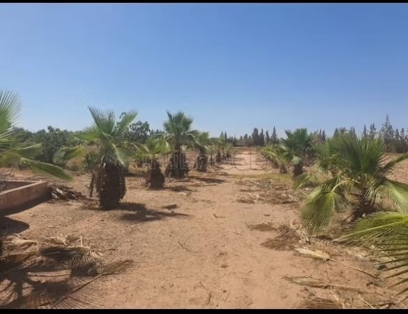 Ferme 21200 m² à vendre à Marrakech — Photo 26