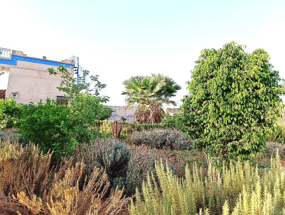 Ferme 21200 m² à vendre à Marrakech — Photo 5