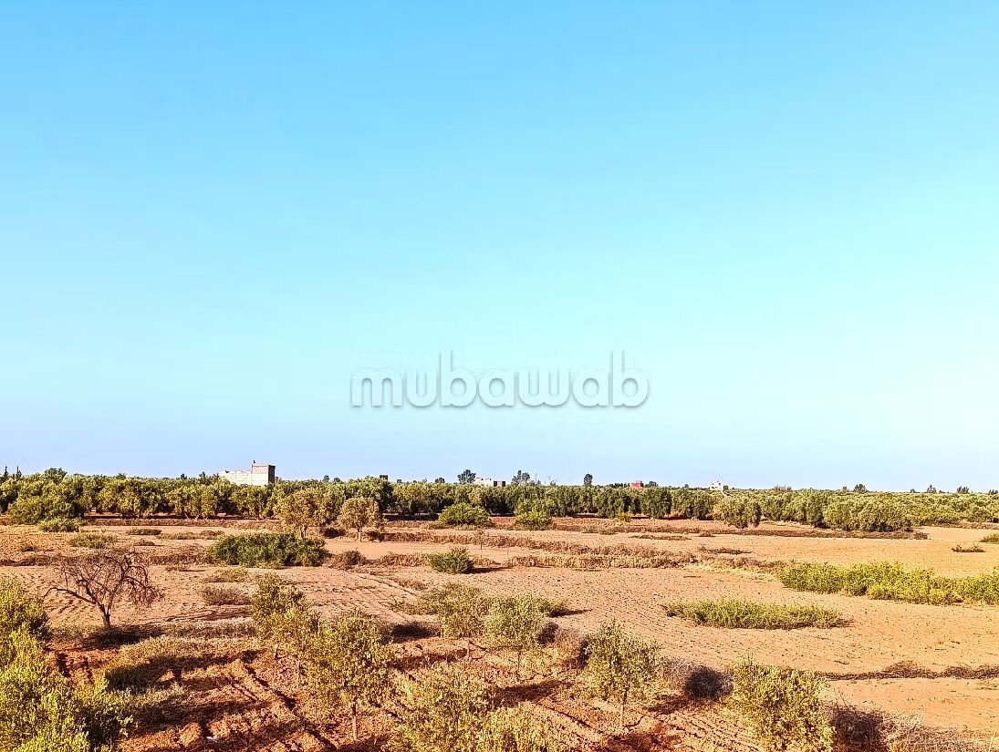 Ferme 21200 m² à vendre à Marrakech — Photo 11
