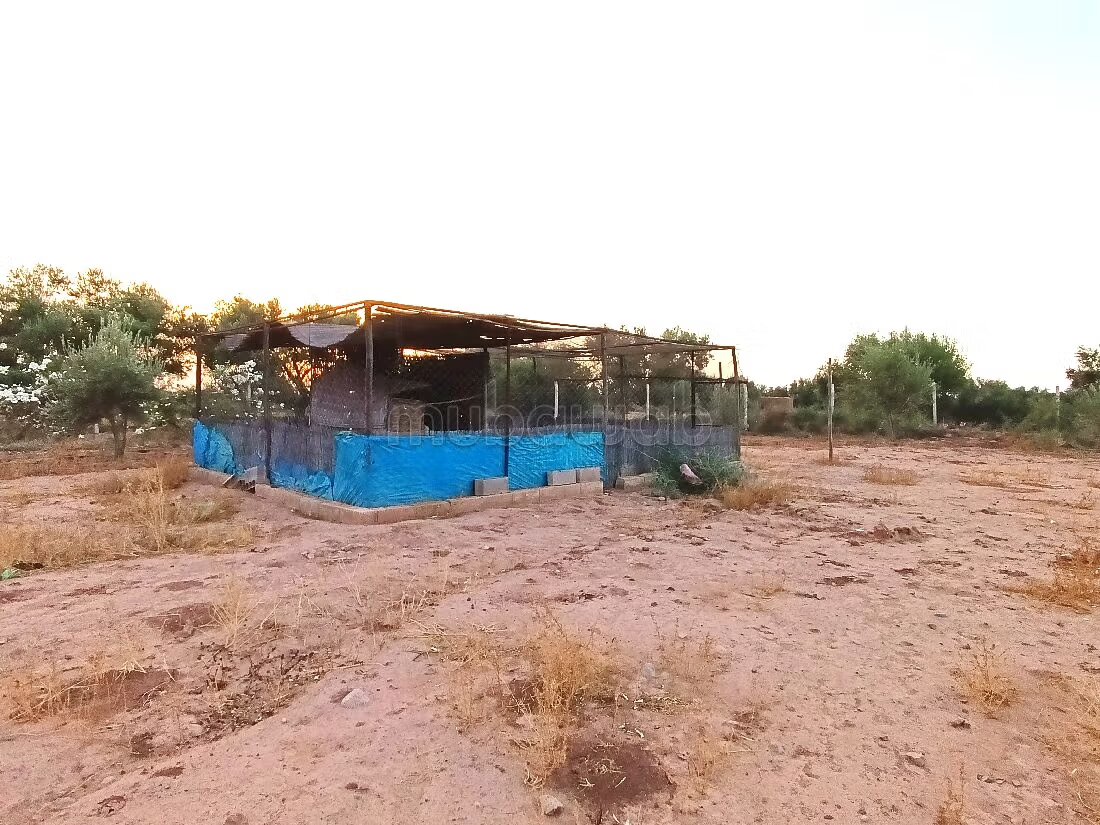 Ferme 21200 m² à vendre à Marrakech — Photo 15