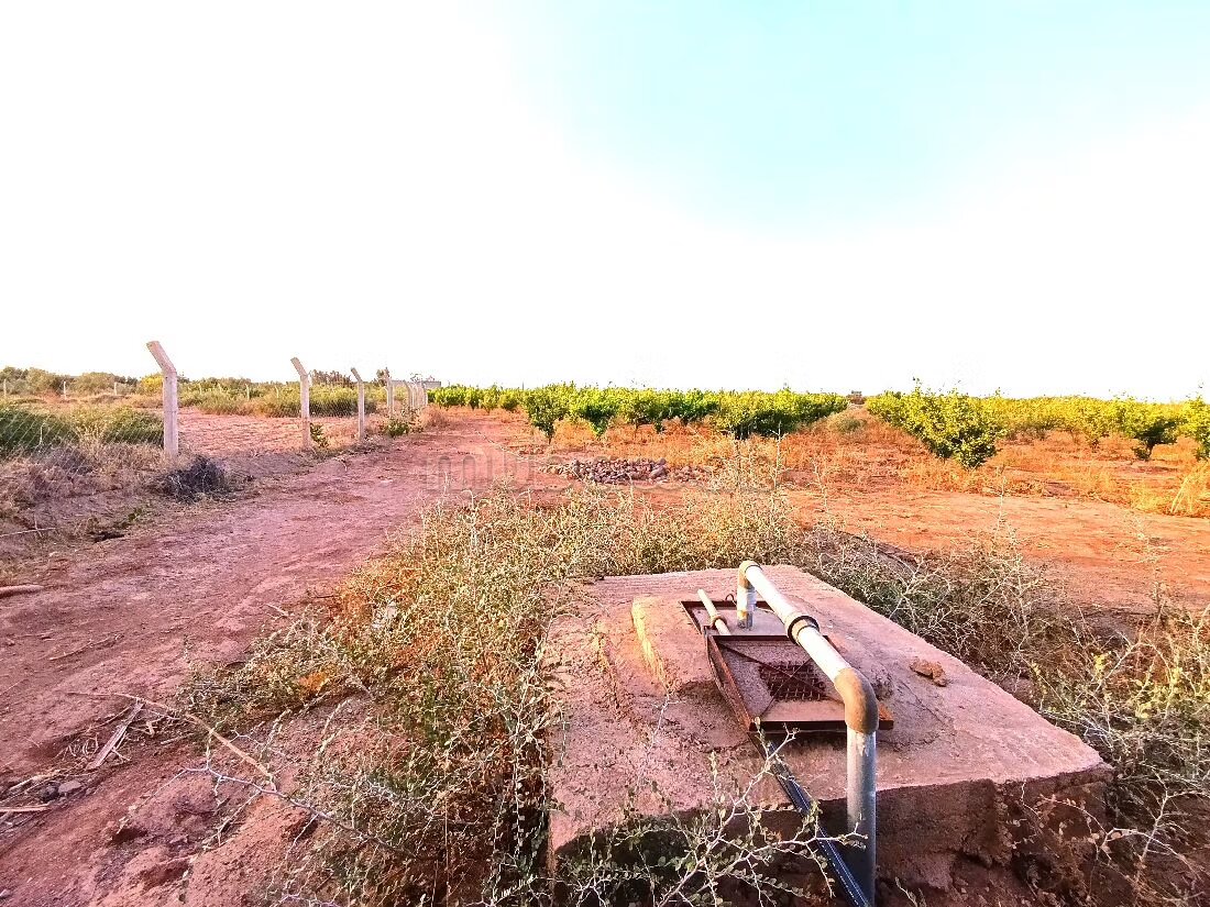 Ferme 21200 m² à vendre à Marrakech — Photo 17