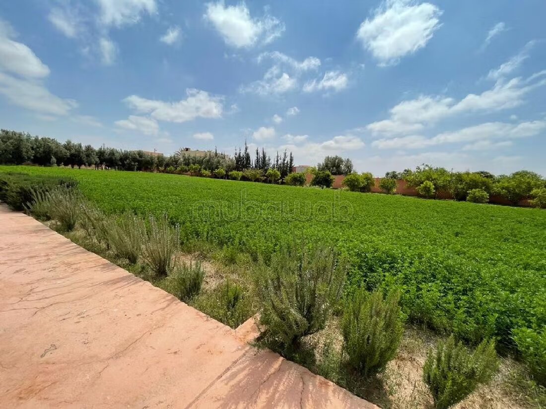 Ferme 5000 m² à louer à Agadir — Photo 3