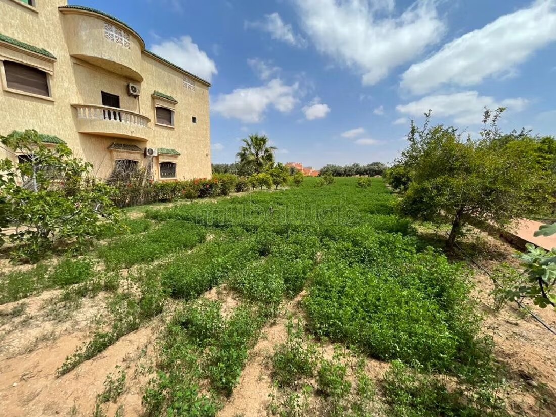 Ferme 5000 m² à louer à Agadir — Photo 6