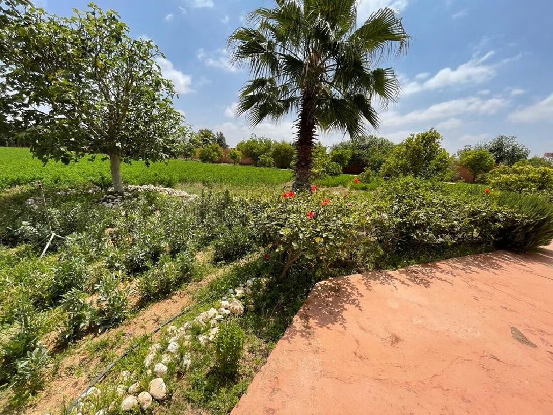 Ferme 5000 m² à louer à Agadir — Photo 8
