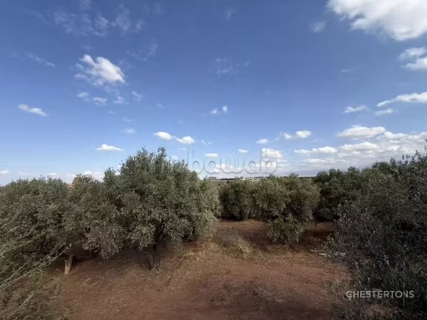 Terrain 10000 m² à vendre à Marrakech — Photo 4