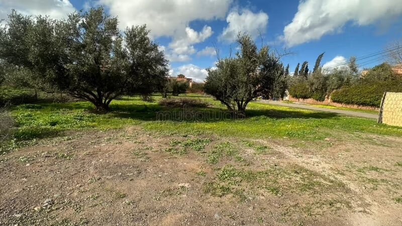 Terrain 10000 m² à vendre à Marrakech — Photo 10