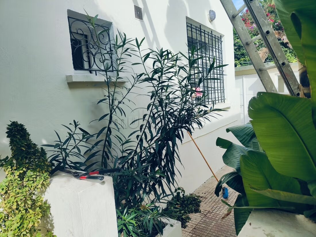 Terrain 271 m² à vendre à Casablanca – Gauthier — Photo 50