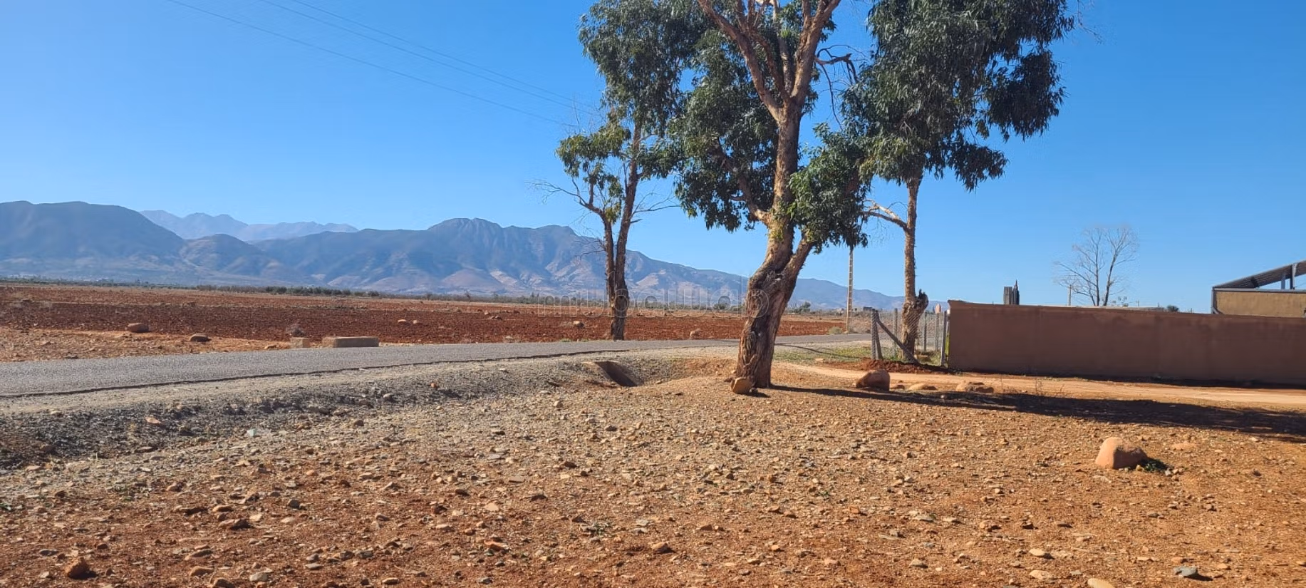 Ferme 100000 m² à vendre à Sidi Badhaj — Photo 2