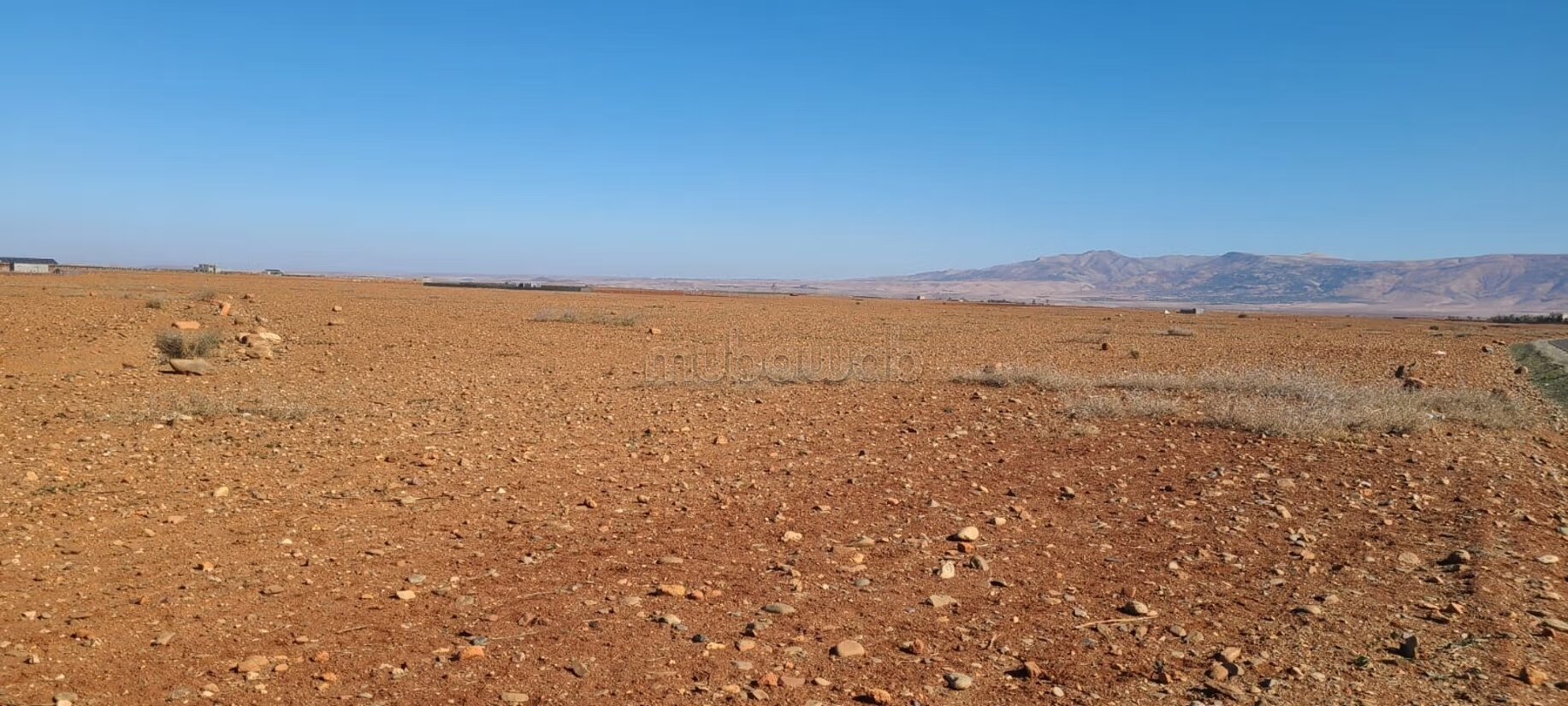 Ferme 100000 m² à vendre à Sidi Badhaj — Photo 3