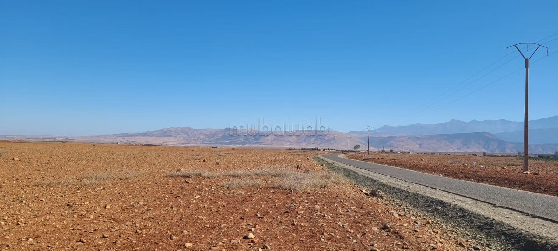 Ferme 100000 m² à vendre à Sidi Badhaj — Photo 5