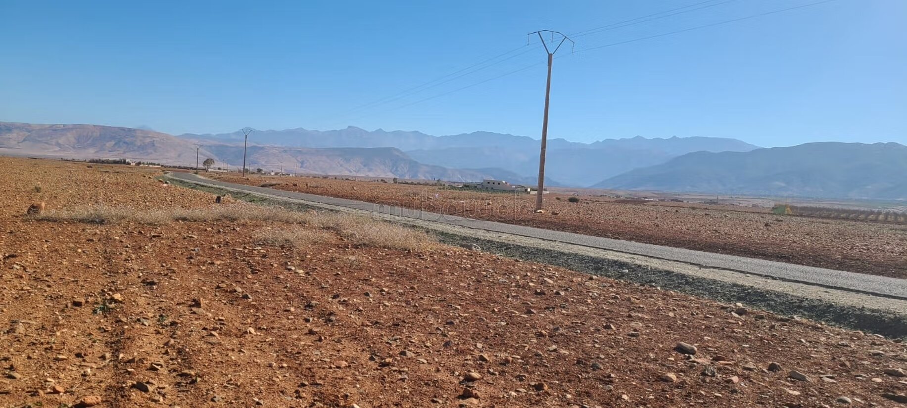 Ferme 100000 m² à vendre à Sidi Badhaj — Photo 6