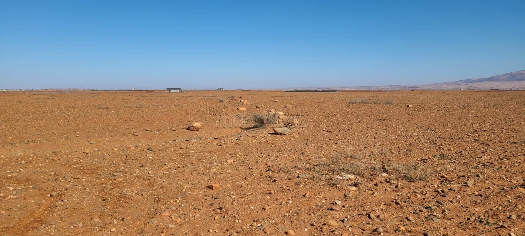 Ferme 100000 m² à vendre à Sidi Badhaj — Photo 7