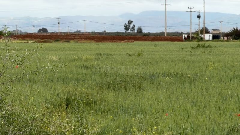 أرض 10000 متر مربع للبيع في مراكش — Photo 7