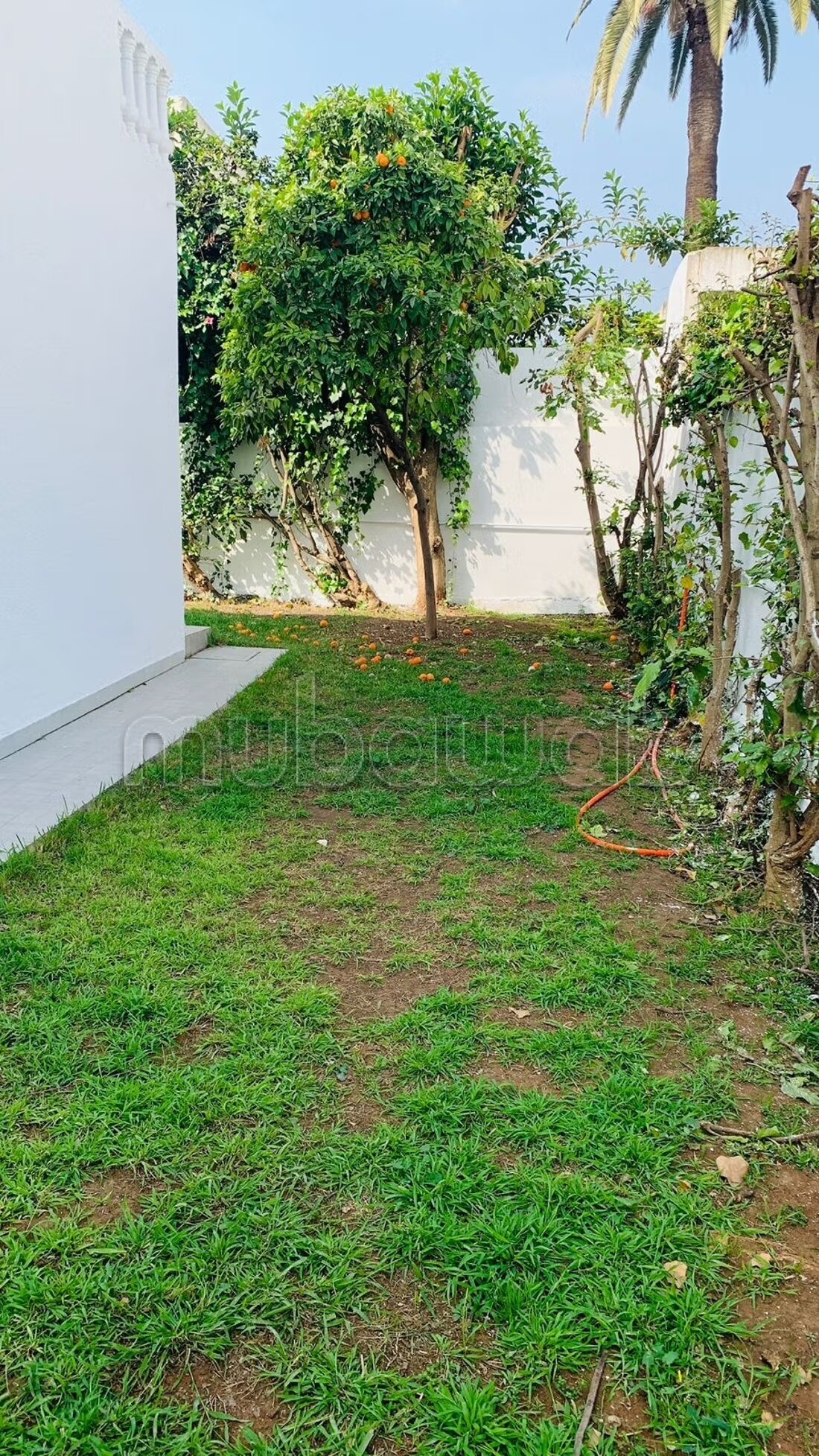 Villa 500 m² for rent in Oasis, Casablanca — Photo 27