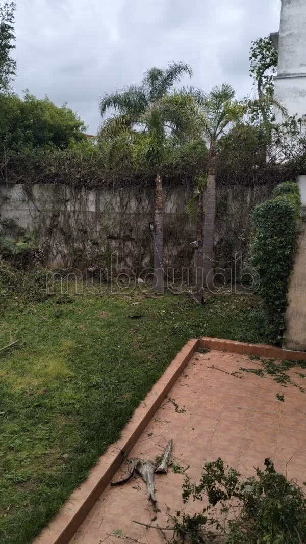 Bureau 750 m² à louer à Rabat — Photo 4
