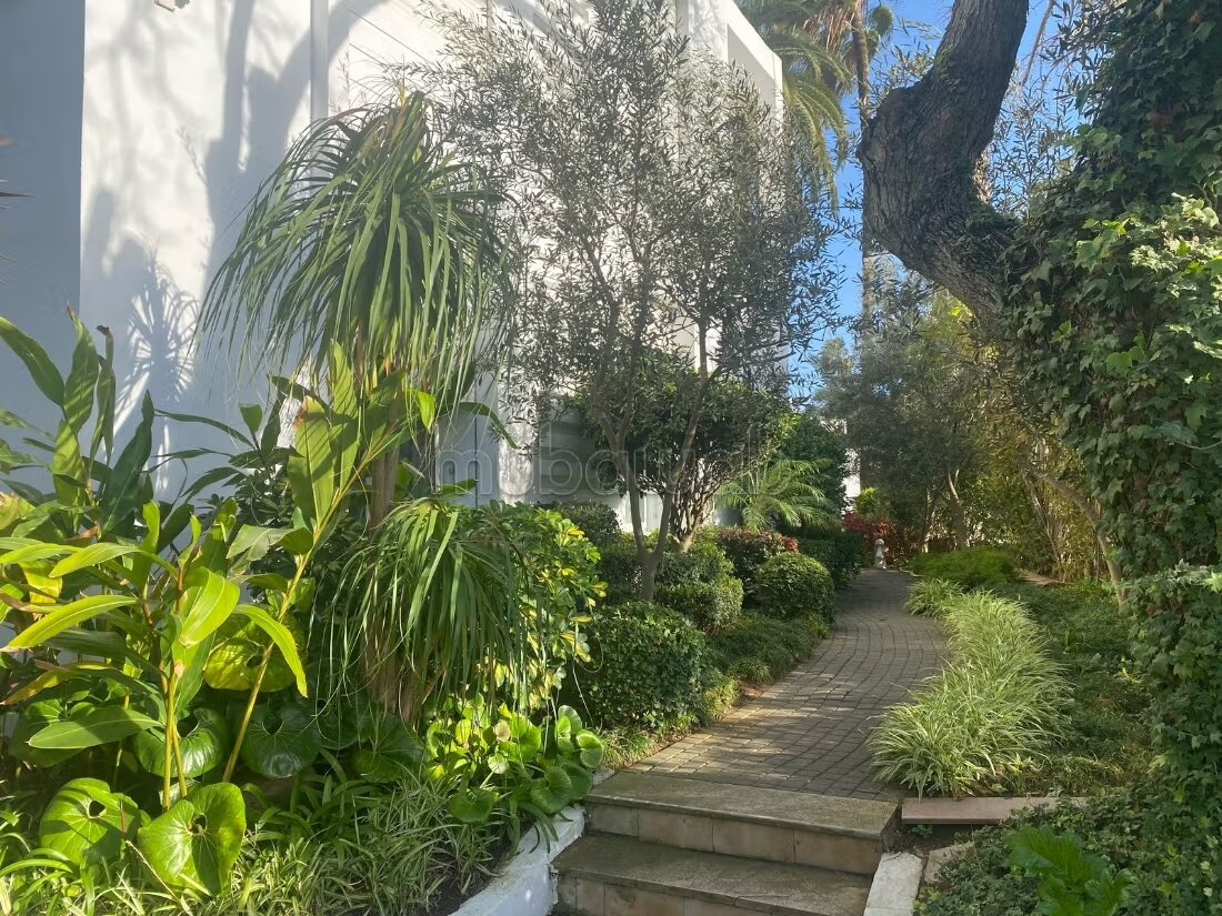 Bureau 750 m² à louer à Rabat — Photo 6