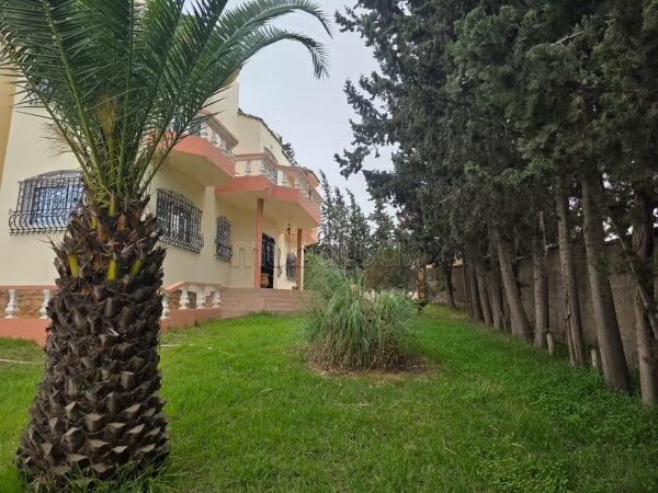 Farm 30000 m² for sale in Sidi Allal Bahraoui — Photo 19