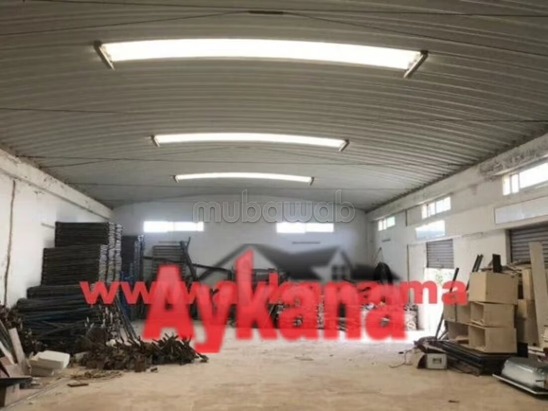 مزرعة 10000 متر مربع للبيع في الرباط — Photo 13