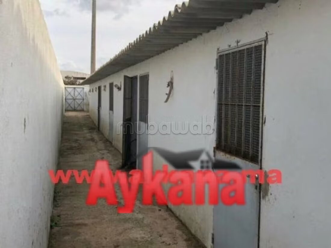 مزرعة 10000 متر مربع للبيع في الرباط — Photo 14